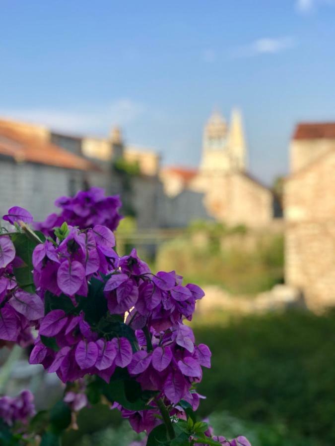 Apt Bobotovi In Center Of Stari Grad, Hvar Daire Stari Grad  Dış mekan fotoğraf